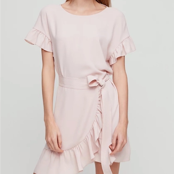 Aritzia Pink Ruffle Mini Dress - Picture 4 of 14